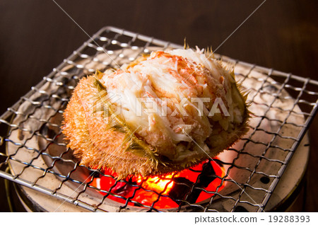 發蟹衣領外殼 19288393