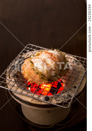 發蟹衣領外殼 發蟹衣領外殼 19288394