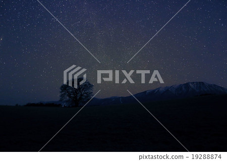 星空 星空 19288874