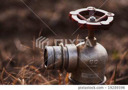 Water valve valve 19289396