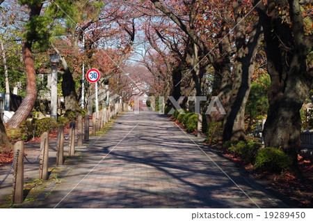 青山公墓路徑 19289450