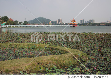 台灣高雄蓮花池 19289534