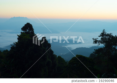 Beautiful morning 19290046