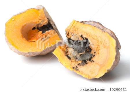 black fungi in sliced pumpkin isolated 19290681