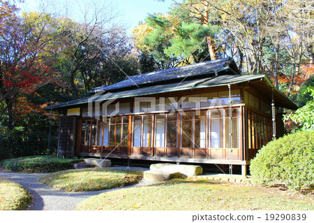 明治神宮gyoen的秋葉 明治神宮gyoen的秋葉 19290839