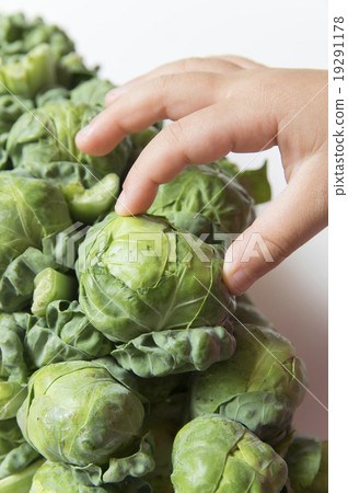Brussels sprouts and children 19291178