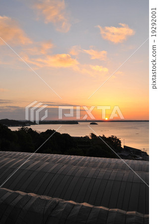 Steeply sloping agricultural house (flower cultivation) Sunrise of Lake Hamana 19292001