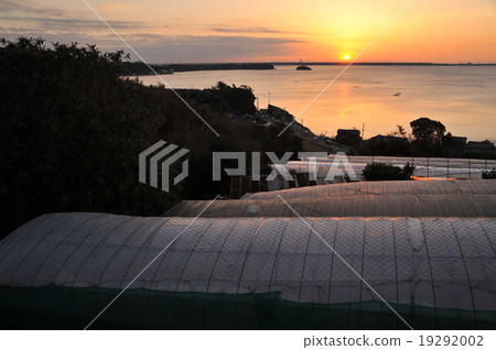 Steeply sloping agricultural house (flower cultivation) Sunrise of Lake Hamana 19292002