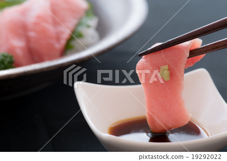 Medium Toro Medium Toro 19292022