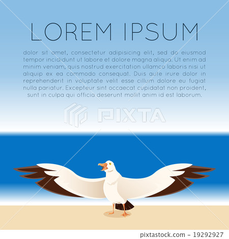 Albatross by the sea 19292927