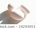 An egg 19293053