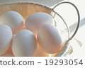 Egg 19293054