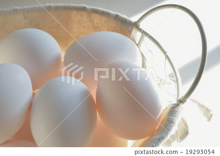 Egg Egg 19293054