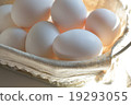 Egg 19293055