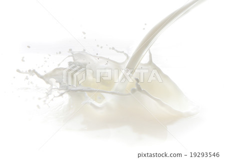 milk splash milk splash 19293546