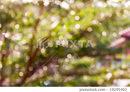 Colourful spark and blow natural bokeh of tree bush for romantic 19295402
