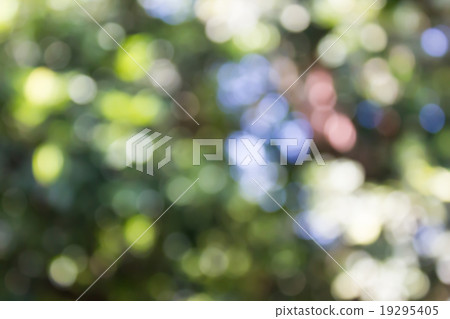 Colourful spark and blow natural bokeh of tree bush for romantic Colourful spark and blow natural bokeh of tree bush for romantic 19295405