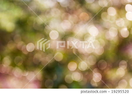Colourful spark and blow WONDERFUL natural bokeh Colourful spark and blow WONDERFUL natural bokeh 19295520