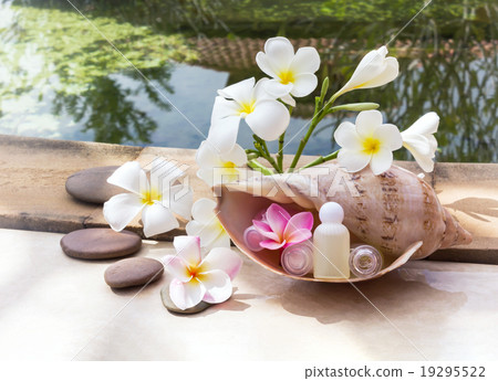 Mini set of bubble bath and shower gel decorated in sea conch sh 19295522