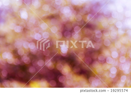Colourful spark and blow natural bokeh with sunlight in pink to Colourful spark and blow natural bokeh with sunlight in pink to 19295574