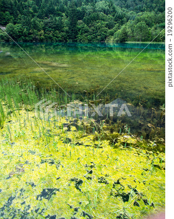  Jiuzhaigou 19296200