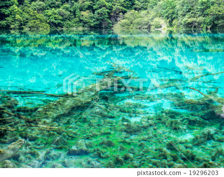  Jiuzhaigou 19296203