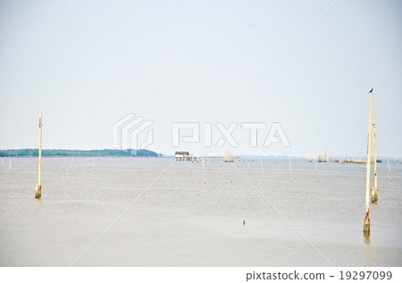 Electronic poles are drownig 19297099