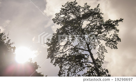 view from wild 19298697