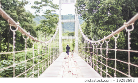 view from wild 19298698