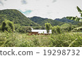 view from wild 19298732