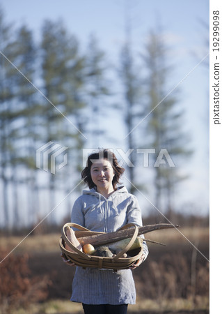 Autumn vegetable harvest Autumn vegetable harvest 19299098