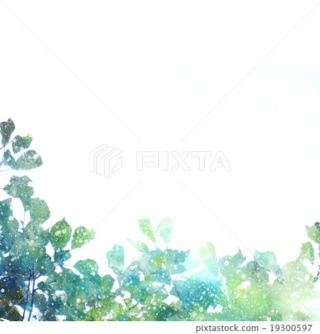 Leaves on white background image, green watercolor - Stock Illustration  [19300597] - PIXTA