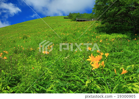 Kiritogen Highland Nikko Kishge 19300905