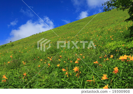 Kiritogen Highland Nikko Kishge 19300908