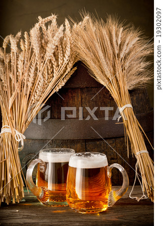 two beer glasses with wheat and barley two beer glasses with wheat and barley 19302097