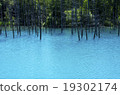 Blue pond 19302174