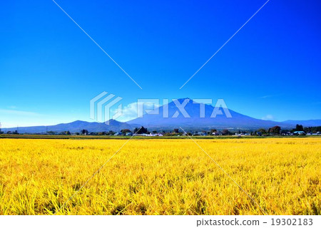 岩手山在秋天 19302183