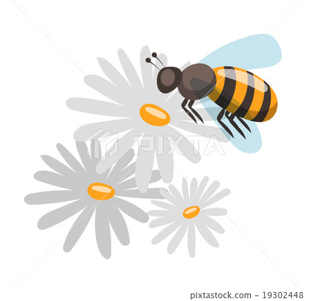 Bee cartoon style vector illustrations 19302448