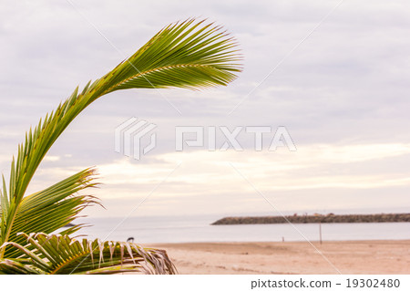 Tropical white sand beach 19302480