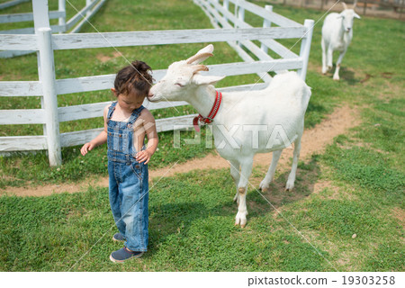 A girl playing at a ranch A girl playing at a ranch 19303258