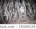 Head of Buddha statue in the tree roots at Wat Mah 19304128