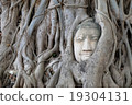 Head of Buddha statue in the tree roots at Wat Mah 19304131