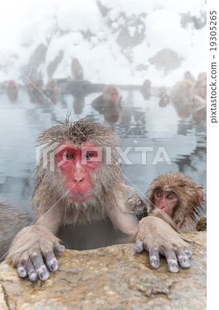 Osasu who is being healed in outdoor bath and child 19305265