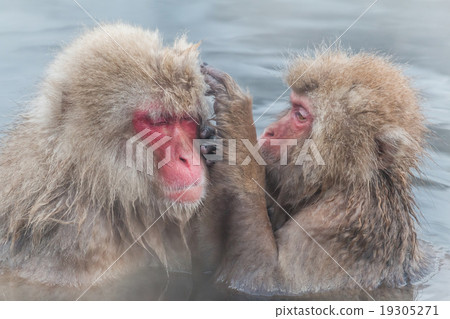 Ozasan of a good friend who enjoys hot springs 19305271