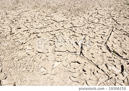 Dried Ground 19306258