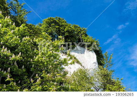 Chalk cliffs on shore of the Baltic Sea Chalk cliffs on shore of the Baltic Sea 19306265