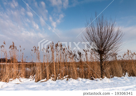 Winter on a lake Winter on a lake 19306341