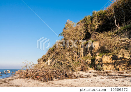Baltic Sea coast Baltic Sea coast 19306372
