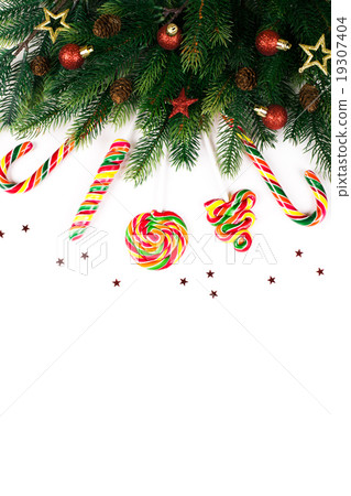 Christmas tree branches 19307404