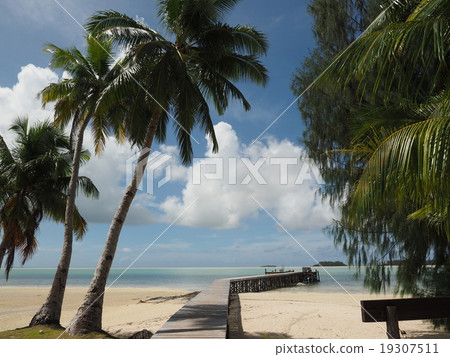 Palau / Karp's pier and palm tree, blue sea, blue sky and white cloud Palau / Karp's pier and palm tree, blue sea, blue sky and white cloud 19307511